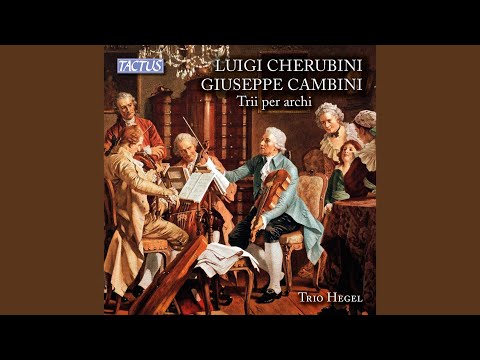 Trio in B-Flat Major, Op. 33 No. 3: I. Allegro