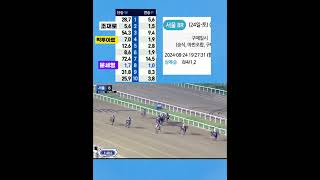 [경마] 삼복승식 기본배팅의 함정!