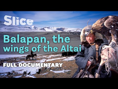 Balapan, the wings of the Altai | SLICE I Full documentary