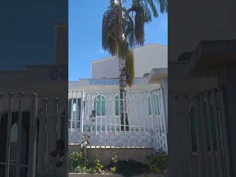 CCB Igrejas São Pedro do ivai