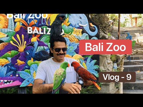 Zoochat