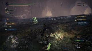 【MHW:I / アイスボーン】 50歳から始めるゲーム実況 #045 レア環境生物「ワダツミノツカイ」を夕方にゲット！