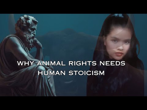Patricia Nonis - ANIMAL RIGHTS AND HUMAN STOICISM - YouTube
