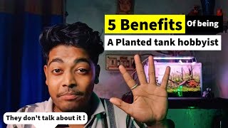 5 Benefits of being a PLANTED Aquarium Hobbyist that no one talks about  !
