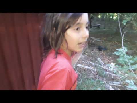 Ett hemsökt ödehus