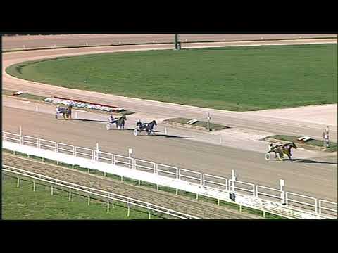 Trotto 19/01/2021 - prova di qualifica