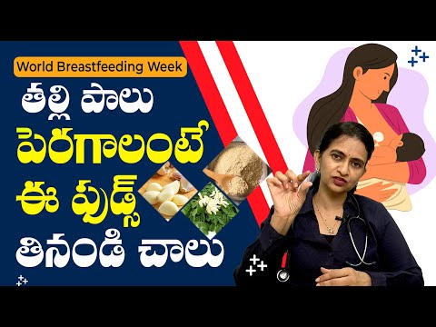 Amazing Foods to Increase Breast Milk