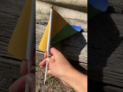 EXPANDING MY MICRONATION | LASHBURNIA