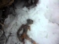 Alien Body Found By Russians! 