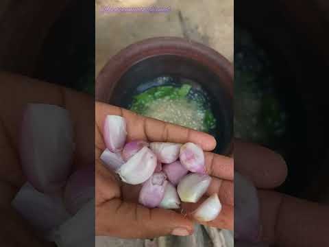 drumstick pulp gravy முருங்கை சதை #drumsticks pulp recipe in tamil #shorts #appaponnuatozchannel