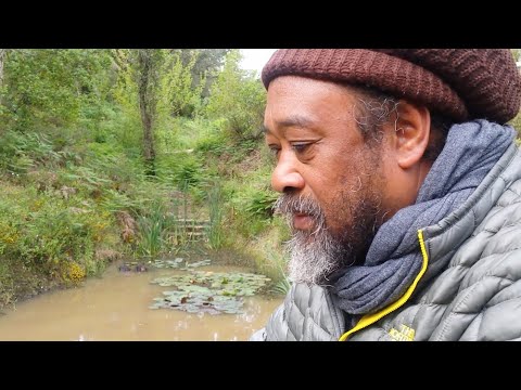 One Power Governs All Things