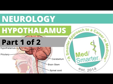 USMLE Step 1 | Neurology: Hypothalamus | MedSmarter | Part 1 of 2