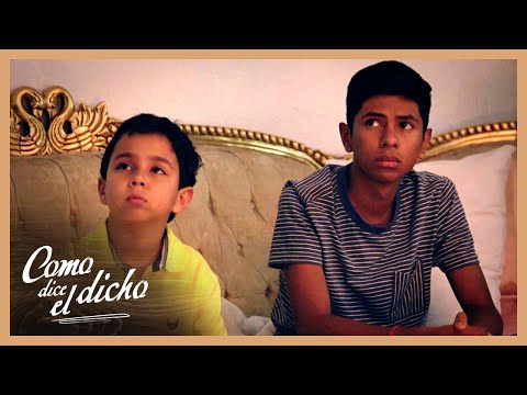 Luis y Ralo son señalados por la muerte de su abuela | Como dice el dicho 3/4 | No hay pesar...