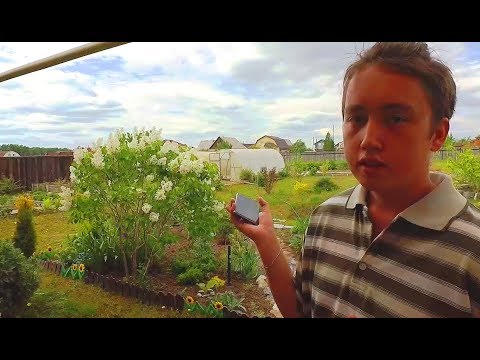 VLOG: ГАЗОНОКОСИЛКА ДУНЯ! 30.05.20