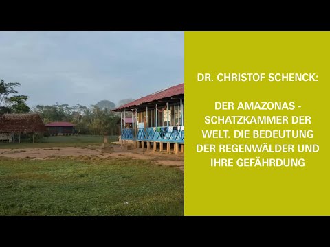 Der Amazonas - Schatzkammer der Welt. Die Bedeutung der Regenwälder und ihre Gefährdung