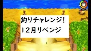 電波人間のRPGFree！,#494,釣りチャレンジ！12月,リベンジ,　#電波人間　# 釣りチャレンジ！　 #電波人間のRPGFree
