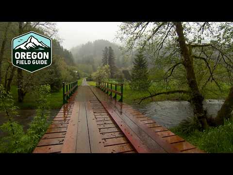 Lernen Sie Oregons älteste Lebensgemeinschaft kennen: Alpha Farm | Oregon Field Guide aus den Arc...