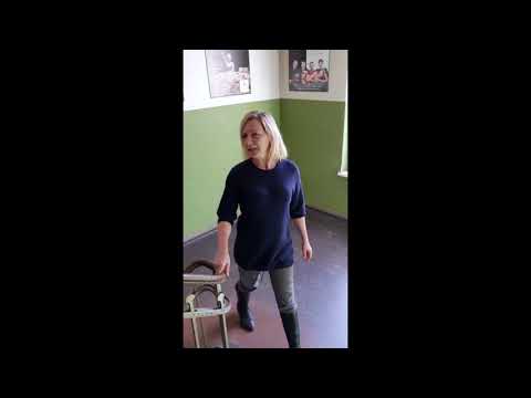 Renaissance Theater Online Wunschkanal