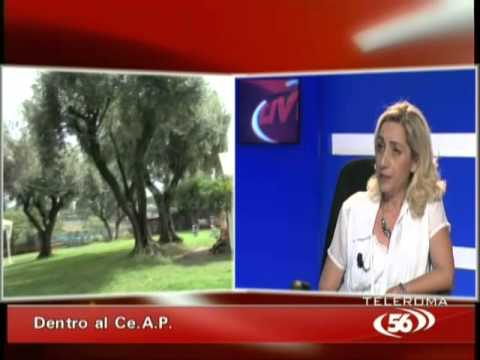 Se è possibile vincere la dipendenza alcolica La codificazione di costo da alcolismo in Krasnodar