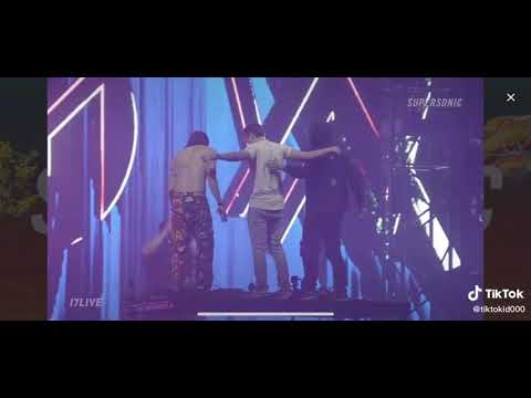 Alan walker / zedd / steve aoki festival tokyo 2021