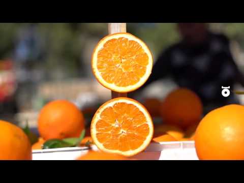 GINO GRASSO in 180 GR - Fuorigrotta Market, Naples - 2016