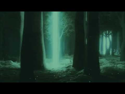 Dimitri Vegas & Like Mike Vs Chris Brown - Mammoth Vs Yeah X3 (Te Jack Mashup)