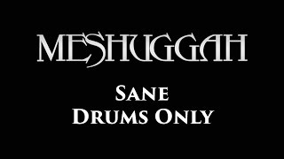 Meshuggah Sane DRUMS ONLY