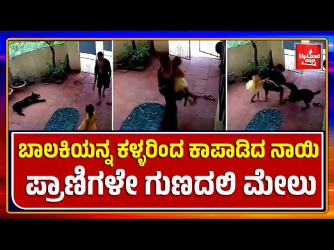 Viral News: Dog's brilliant move stuns internet/Kannada viral news updates