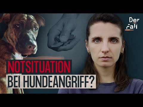 Messerattacke: Töten für den eigenen Hund | Der Fall Theo