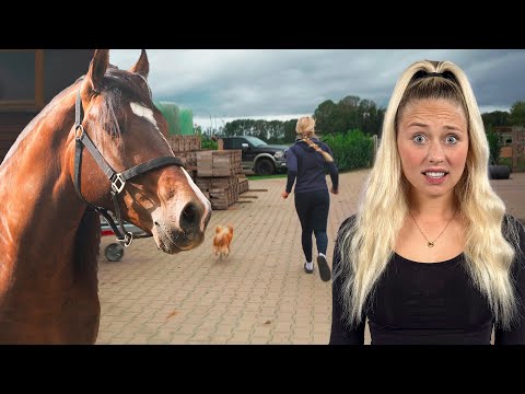 Die SPANIER sind AUSGEBROCHEN?!