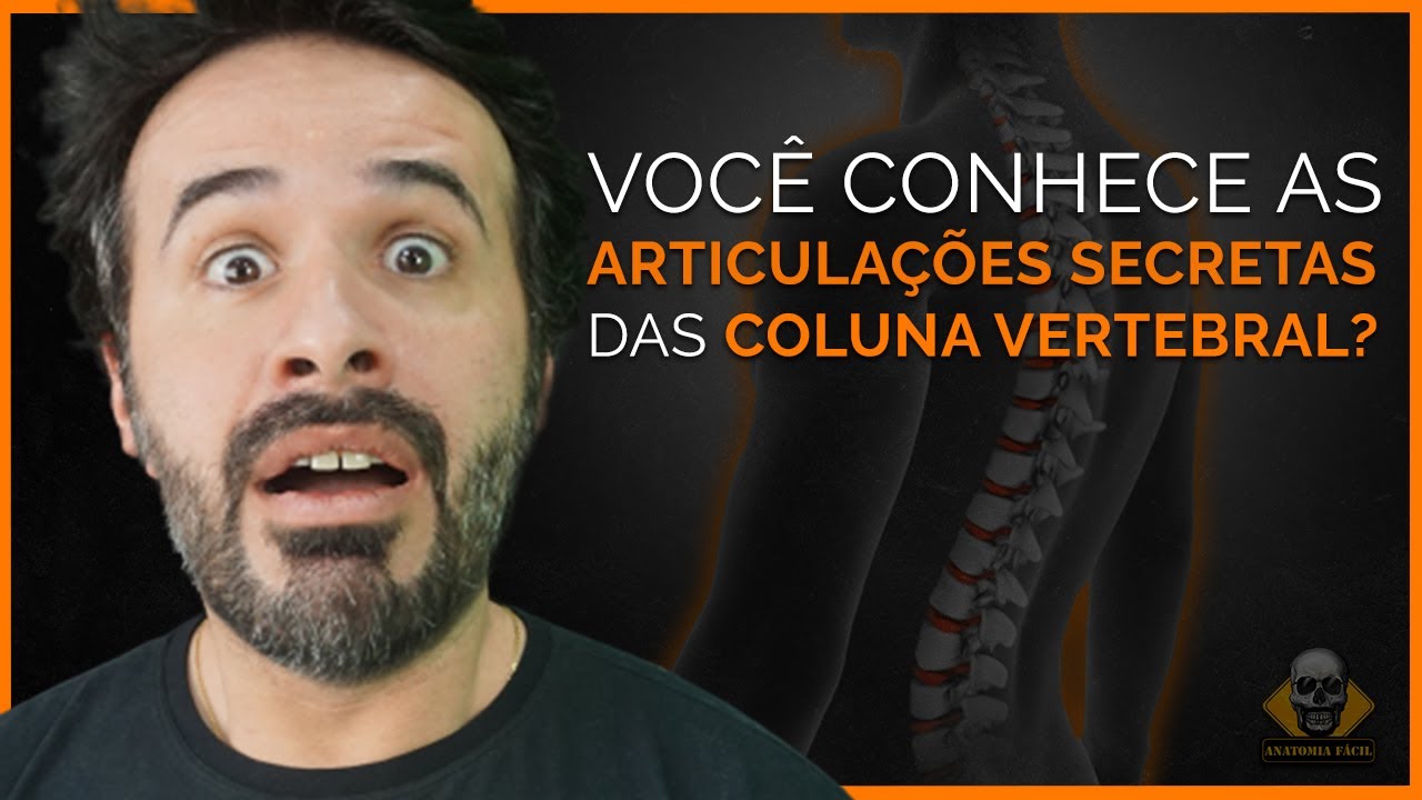 VOCÊ CONHECE AS ARTICULAÇÕES SECRETAS DA COLUNA VERTEBRAL?
