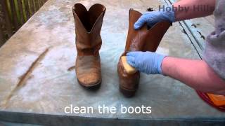 Remove mold from leather cowboy boots