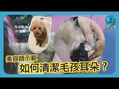 水魔素 銀離子潔耳液