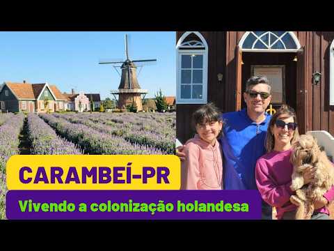 Um dia em Carambeí -PR: museu a céu aberto, lavandário e tortas holandesas