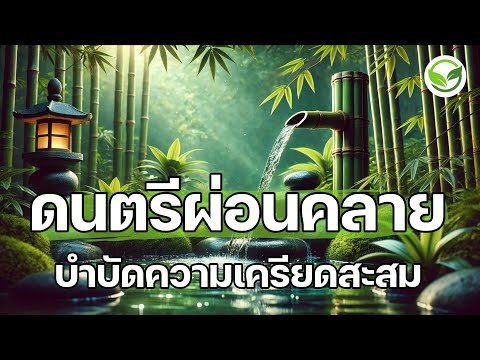 ดนตรีผ่อนคลายสมอง ดนตรีบำบัดความเครียดสะสม เบาสบายจิตใจ ปล่อยวาง สุขใจ มีพลังบวกขึ้น relaxing music 