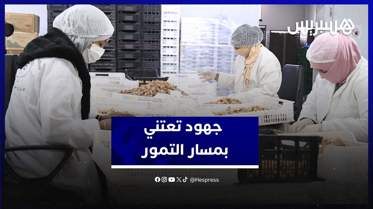 من واحات النخيل إلى وحدات التثمين.. جهود محلية بجهة درعة تافيلالت تعتني بمسار التمور المغربية thumbnail