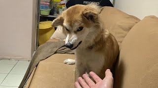 Miniature vidéo