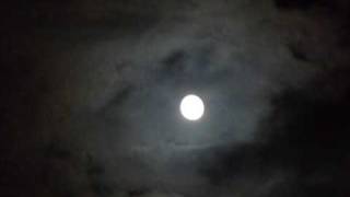 Mindwarp - Too (Trickle Vs Flood Mix)