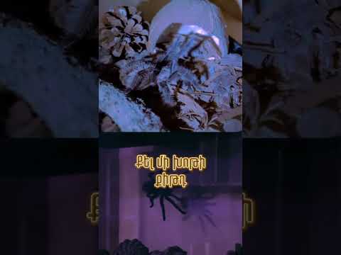 Հարցեր ունես, կտաս, երբ լինես իմ դիմաց 🎯  #armenianrap #prblm #naarbraat #rap #erku #hiphop #hiphop