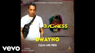 clean N fresh Music Video