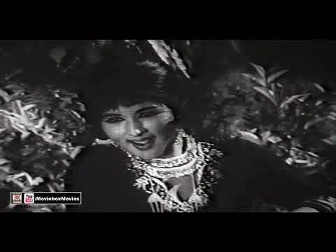 AAJ SAMNA HOGAYA HAANI DA - FILM CHUGAL KHOR
