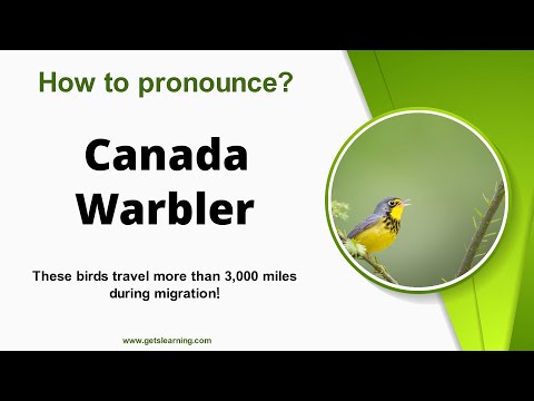 How to pronounce (Canada Warbler) Correctly in English
