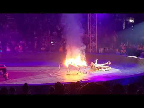 3/23/2019 Universoul Circus - The Acts(1)