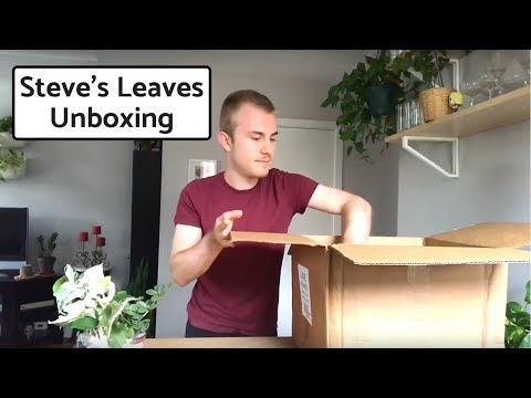 Houseplant Unboxing | Steve’s Leaves