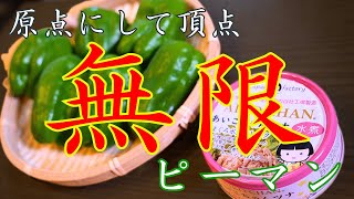 【原点にして頂点】無限にお箸が進んじゃう!「甘味噌ピーマン」 Low carb green pepper recipe