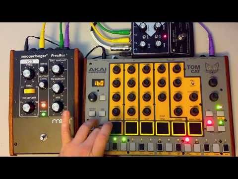 Analog DnB Drumtrax (Tom Cat, Freqbox, MF Drive)