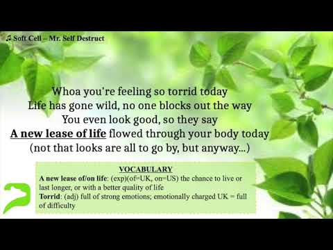 Idioms and phrasal verbs in songs: new beginnings and starting afresh