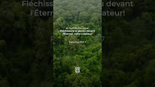 Psaumes 95:6-7 Louis Segond #biblevision #labible