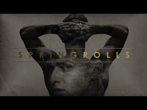 Donny Montell - Springrolls