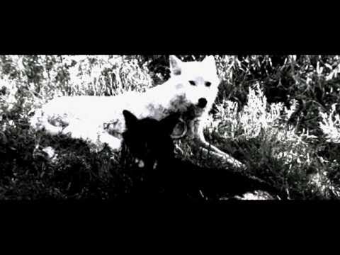 c i r c l e [•]Fenrir•Harry[•] (fanfic)